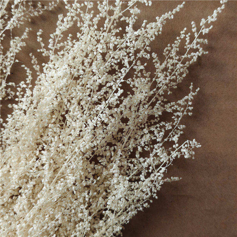 永生花米蒿草花干花花束家居摆件婚礼装饰香薰蜡烛花材diy材料包