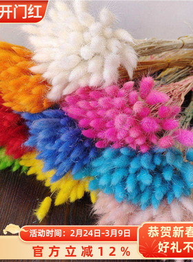 云南干花兔尾草礼物兔尾巴草花束包装材料教师节朋友家居装饰花束