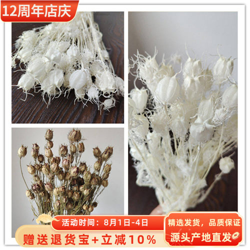 永生黑种草干花ins风格摆件插花