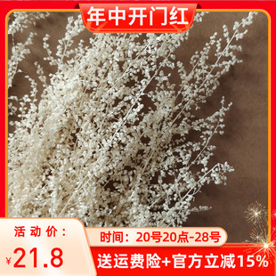 永生花米蒿草花干花花束家居摆件婚礼装 饰香薰蜡烛花材diy材料包