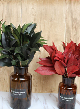 桂花枝叶永生花保鲜花礼盒配材配草真花鲜花制作绿色红色叶子