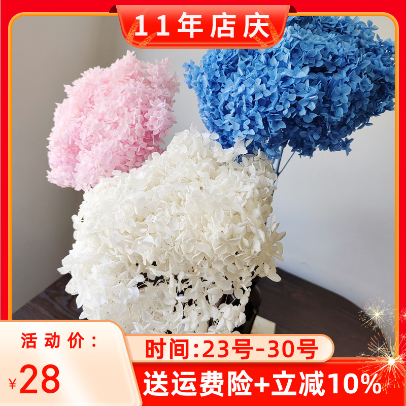 永生花整支安娜小叶家居求婚