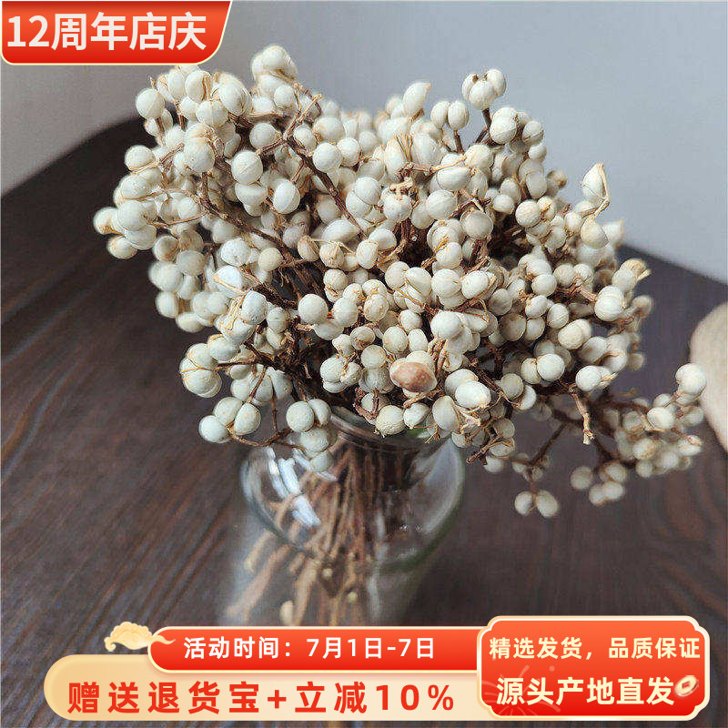小白果干花冬菇草乌桕薏花环DIY材料礼品圣诞节干树枝装饰圣诞节