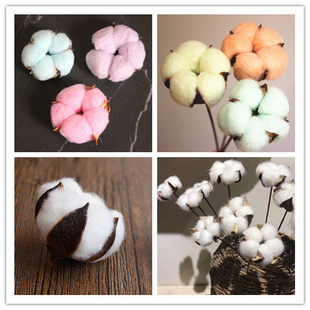 木棉花自制真的干花束装饰制作diy材料包荷兰进口整支插花家居