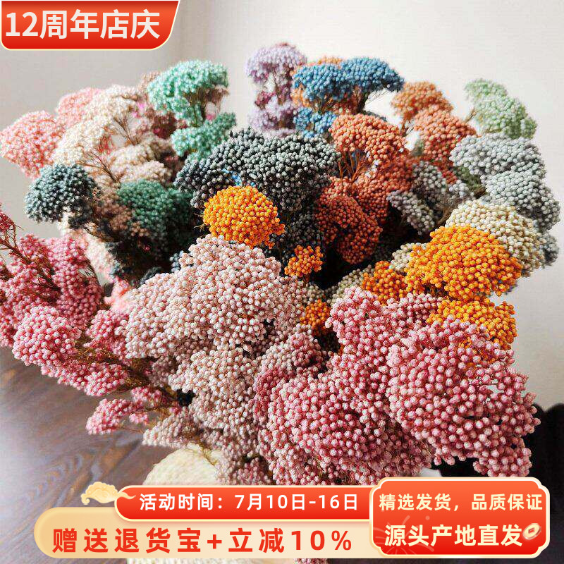 保鲜花小米花 永生花米花 米草DIY家居装饰插花情人节花束求婚白