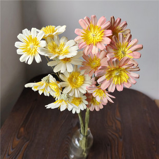 云南手工干花瓜子花家居裝 ins風(fēng)拍照擺件花束果殼植物 飾擺件用品