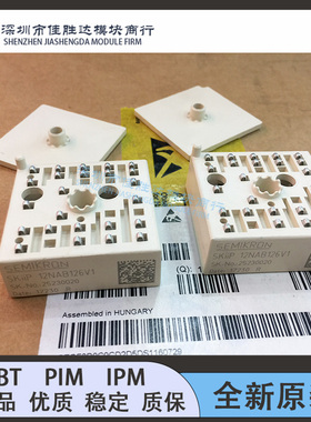 SKIIP12NAB126V1 12NAB12T4V1 SKIIP11NAB12T4V1 11NAB126V1 13AC