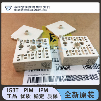 SKIIP12NAB126V1 12NAB12T4V1 SKIIP11NAB12T4V1 11NAB126V1 13AC