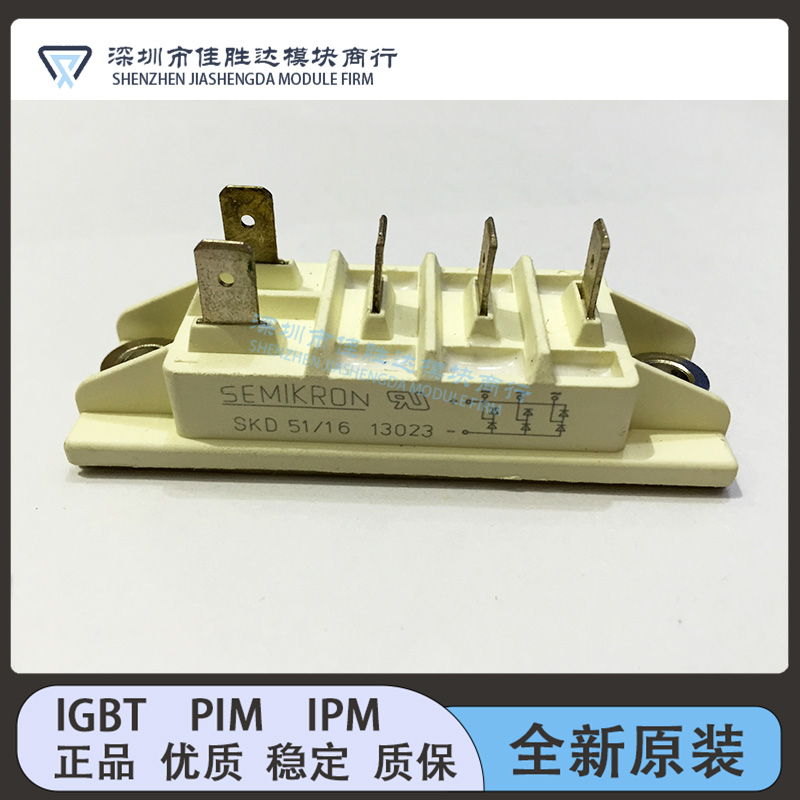 SKD51/16 SKD51/18 SKD51/14 SKD51/12 SKD51/08 PSD31-16 全新