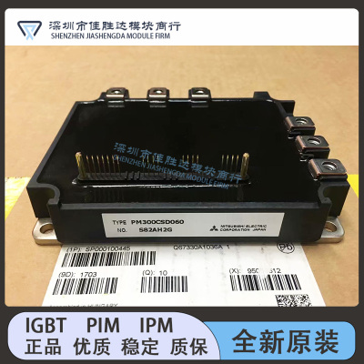 PM300CSD060 PM200CSD060 PM300RSD060 PM100RSD120 PM150RSE120