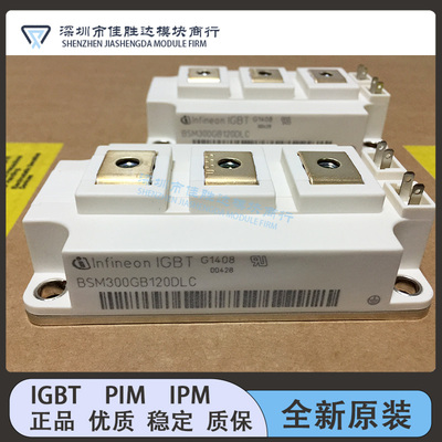 BSM300GB120DLC BSM200GB120DN2 BSM150GB170DLC BSM100GB120DN2