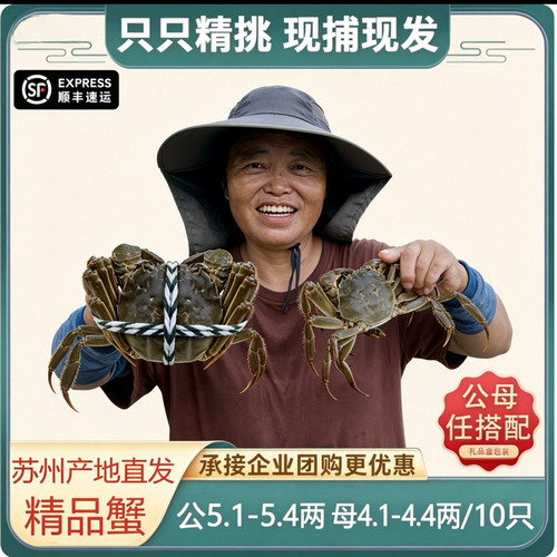 高邮湖大闸蟹黄香肉甜顶盖肥