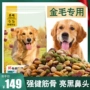 Morning Rising Golden Retriever Chó đặc biệt Thức ăn 40 kg Chó con Chó trưởng thành 10 Chó nhỏ Chó trung bình Chó lớn Phổ thông 20kg - Chó Staples hạt zenith