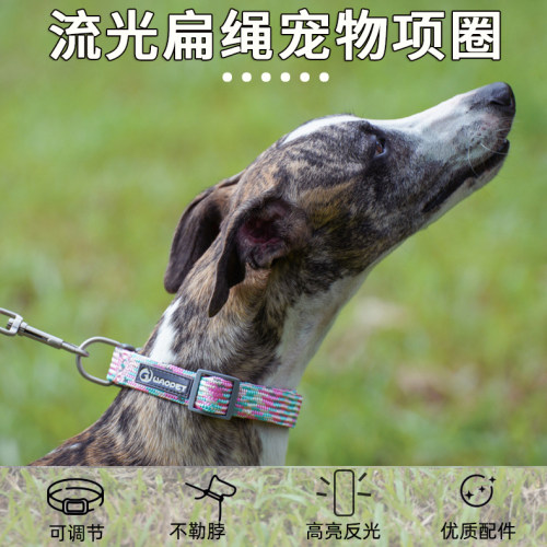 狗狗项圈大中小型犬宠物