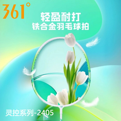 361灵控系列羽毛球拍铁合金双拍