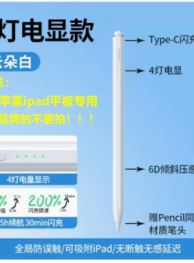 绿联25942适用于ipad触控笔LP787/四灯显/手写笔适苹果平板专用