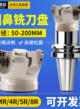 圆鼻铣刀盘R4 R5 R6 面铣刀盘加工中心铣刀盘EMR数控刀盘RPMW1003