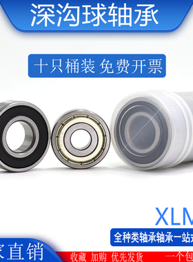 哈尔滨XLMR轴承6300 6301 6302 6303 6304 6305 6306 6307-RZ桶装