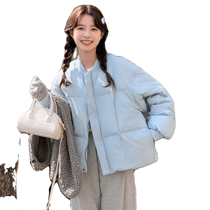 【档口现货】棒球羽绒服 小个子 2413 P170 K258图片