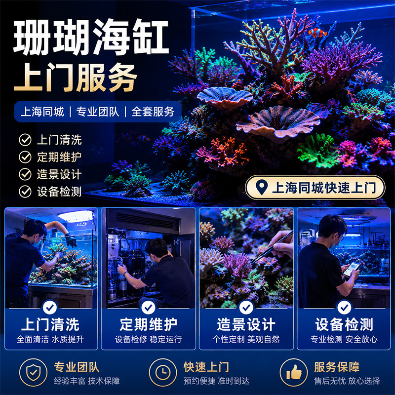 上海上门清洗鱼缸海水珊瑚缸海葵草缸造景海鱼养护鱼池清理服务