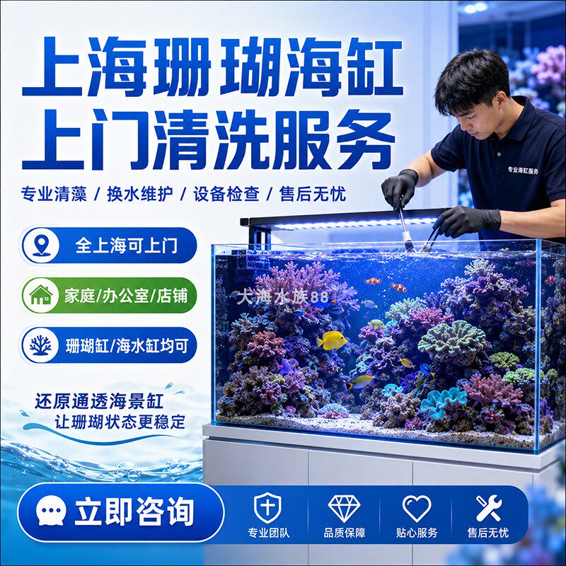 上海上门清洗鱼缸海水珊瑚缸海葵草缸造景海鱼养护鱼池清理服务