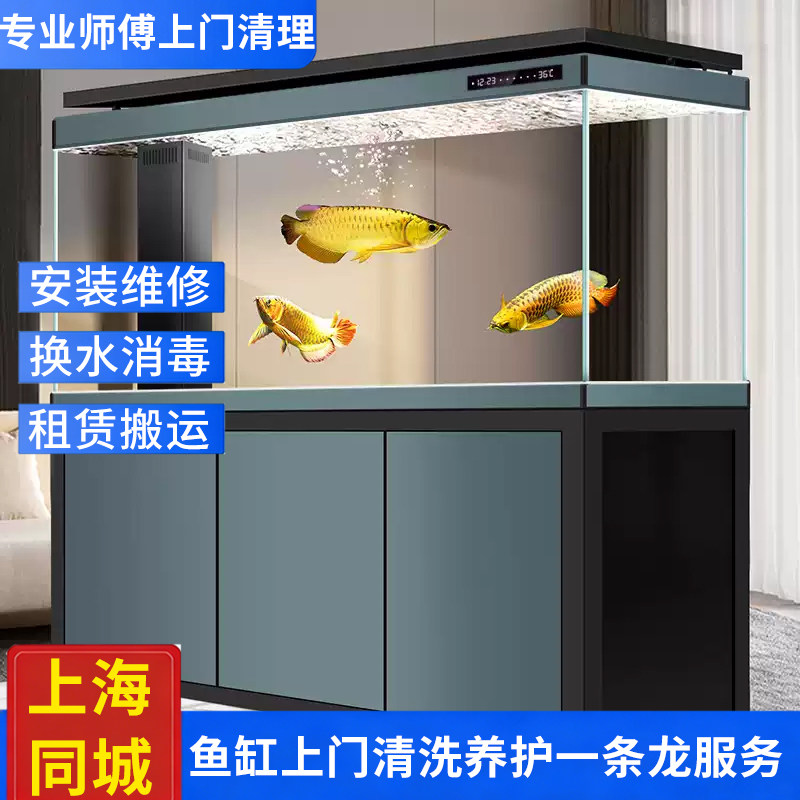 上海地区定期上门服务维护保养清洗大鱼缸清理水族箱安装搬运搬家