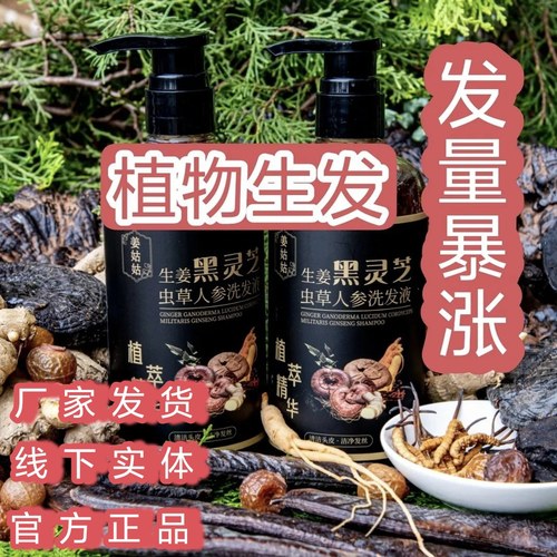 姜姑姑抖音款生姜灵芝虫草天然中草药手工植物熬煮洗发水固黑白用