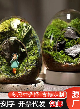 创意微景观蛋形玻璃瓶多肉植物苔藓DIY造型瓶桌面绿植摆件容器罩