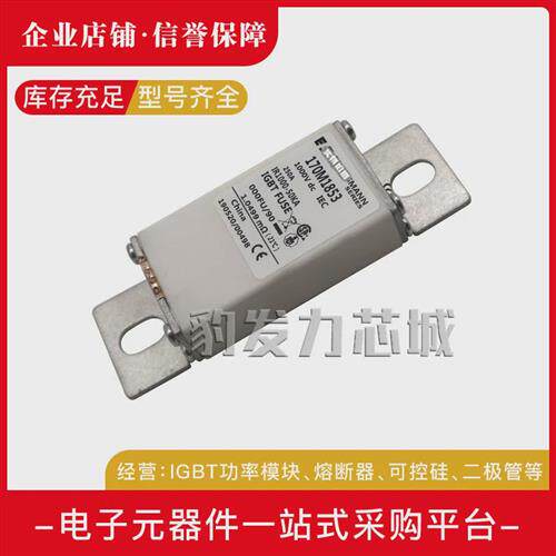 170M2758/2759/2760/2761/2762/2763-2771368837383747熔断器