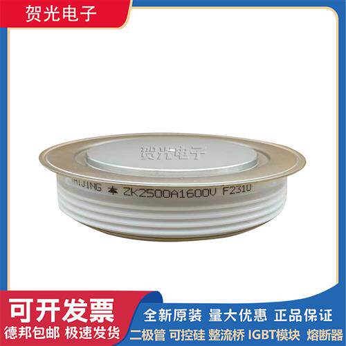 圆饼模块ZK2500A1600V/ZK2500A1800V/ZK2500A2000V/2200V/2400V