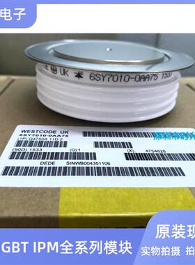 全新 6SY7010-0AA75 6SY7010-0AA47 6SY7010-0AA46 6SY7010-0AA45