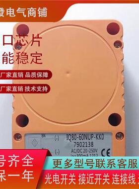 IQ80-50BPP-KC0 IQ80-60NPP-KK0 IQ80-60NUP-KK0品质保证