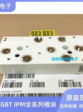 SKIIP83AC12T4IT1 SKIIP82AC128IT1 SKIIP83AC12IT1 83AC128IST1