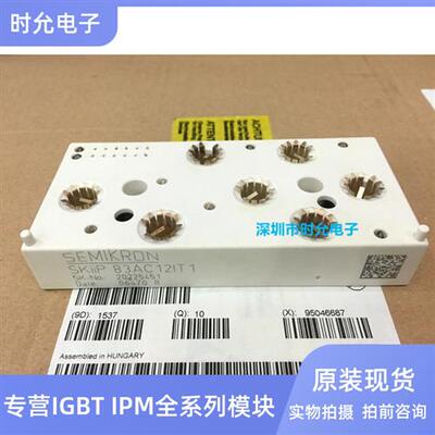 SKIIP83AC12T4IT1 SKIIP82AC128IT1 SKIIP83AC12IT1 83AC128IST1