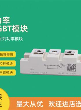 全新功率IGBT模块SKM145GAR126DN SKM195GAR126DN SKM100GAR128DN