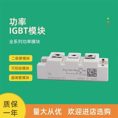 全新功率IGBT模块SKM145GAR126DN SKM195GAR126DN SKM100GAR128DN