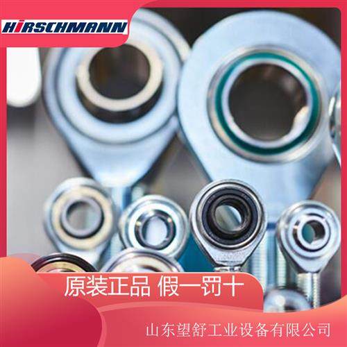 赫斯曼轴承hirschmann SSRC20 SMRC重型杆端关节轴承球形轴承