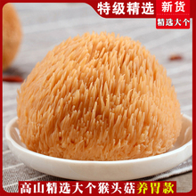 2023新货猴头菇干货500g 无硫熏猴菇非野生蘑菇干猴头菌包邮