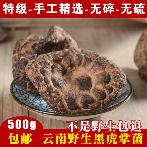 2026云南黑虎掌菌野生500g煲汤