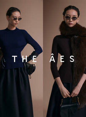 安上THE AES｜全新PRA典藏东方巴黎雅致半高领螺纹显瘦毛衣针织