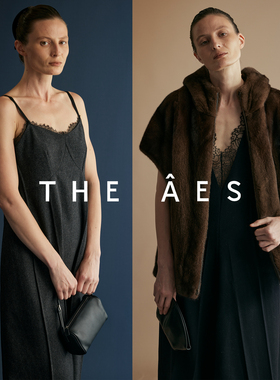 安上THE AES｜柔雾典藏臻作华贵静奢法兰绒蕾丝拼接连衣裙半裙