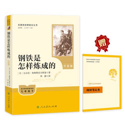 钢铁是怎样炼成的 七年级下 升级版