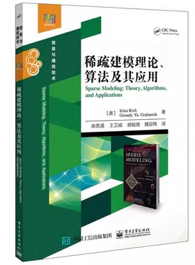 正版稀疏建模理论算法及其应用 电子工业出版社 Irina Rish 稀疏建模与现代统计学 信息与通信技术 统计学入门教材教程书籍