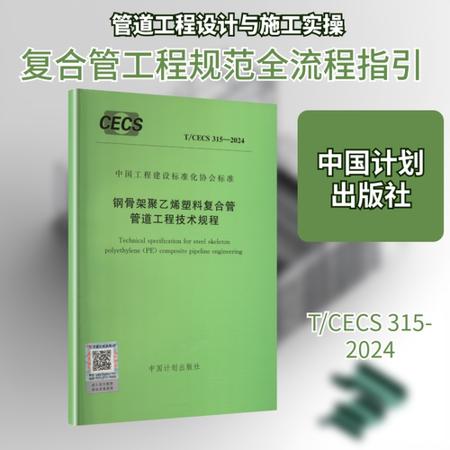 T/CECS 315-2024 钢骨架聚