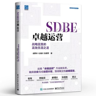 高效兑现之道 电子工业出版 将战略分解为经营计划 SDBE卓越运营 战略和经营教材教程书籍 战略解码 战略蓝图 胡荣丰 正版 社