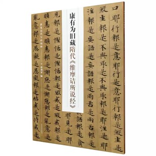 河南美术出版 新见历代写经精粹 社 蒋朝显 毛笔书法字帖临摹碑帖入门基础教材教程 正版 书法篆刻 康有为旧藏隋代维摩诘所说经