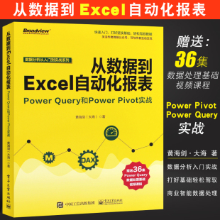 Query和Power Pivot实战 商业智能数据处理Power 正版 电子工业 Power BI数据分析技术 PowerBI软件教程书 从数据到Excel自动化报表