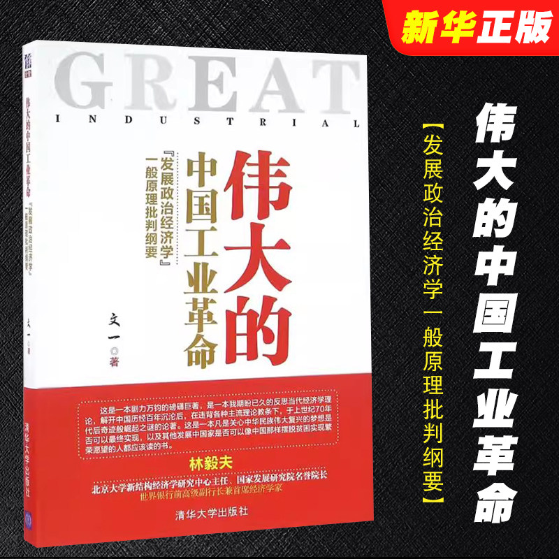 正版伟大的中国工业革命 发展政治经济学一般原理批判纲要 清华大学出版社 破解中国工业革命之谜经管励志经济类教材教程书籍