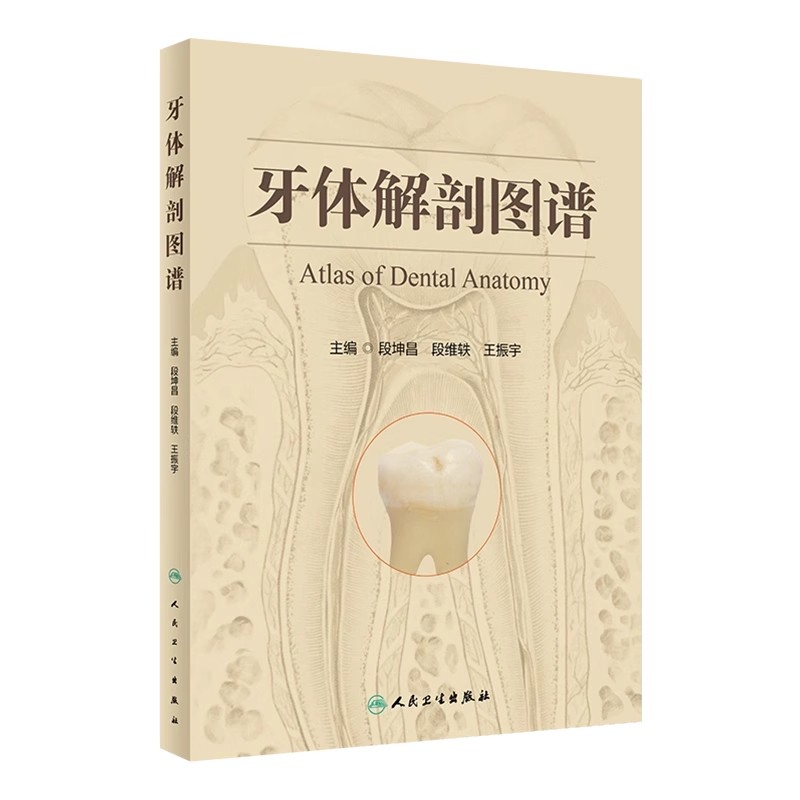 正版牙体解剖图谱 人民卫生出版社 段坤昌 段维轶 王振宇 成年人恒牙婴幼儿乳牙体实物标本 口腔医学参考基础教材教程书籍