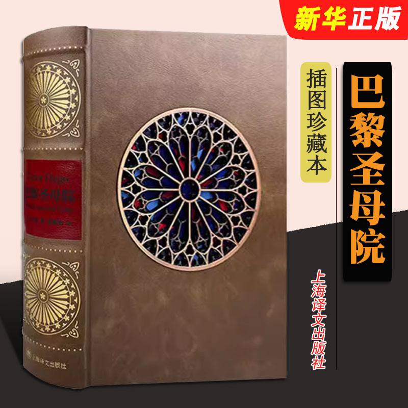 正版巴黎圣母院 插图珍藏本018 雨果 著 管震湖 译 上海译文出版社 百张精细插图 立体建模复刻教堂花窗书籍
